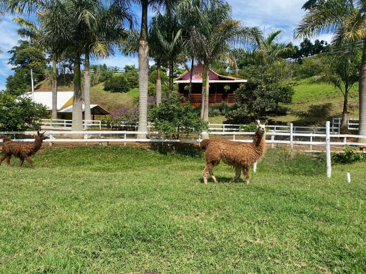 Pousada Rancho Na Serra Espera Feliz Exterior photo